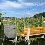 Weinloft Apartment *